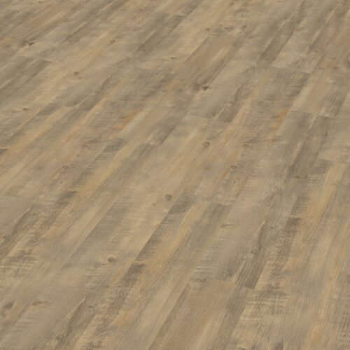 Kastanie A 1501 03 emotion ratio1