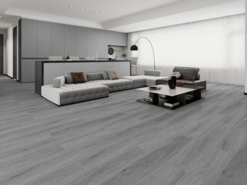 Platin Grey Raumfoto