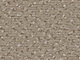 8L89 ALEXIS beige