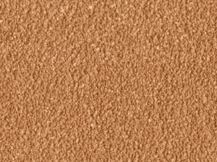Alba 1Q10