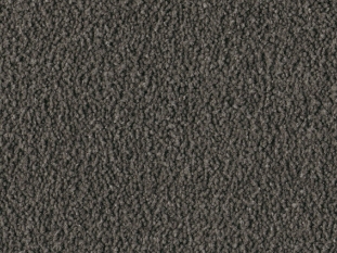 Alba 55A1