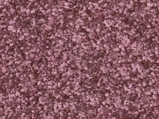 Brilliance 1P79 311x233