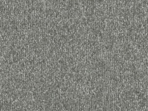 Celina 55A9
