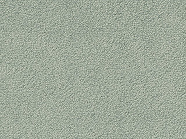 Vorwerk® Mira CB Plank 4H77 Grün 1 Mira 4H77