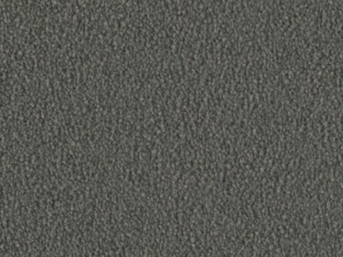 Violetta 54A0