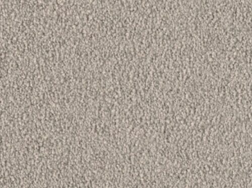 Violetta 54A8