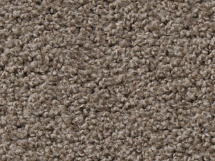 Vorwerk Exclusive 1009 8G81 web