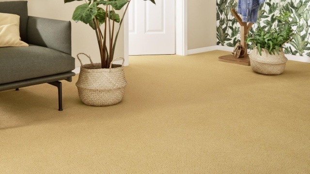 csm 2F51 Vorwerk Superior 1071 Detail 01 1600 900 c592b9d50e
